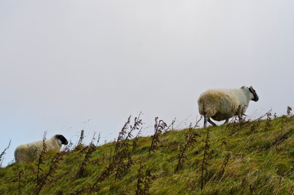 Isle of Skye