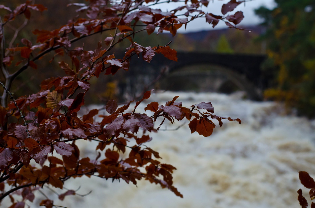 Invermoriston | Inverness