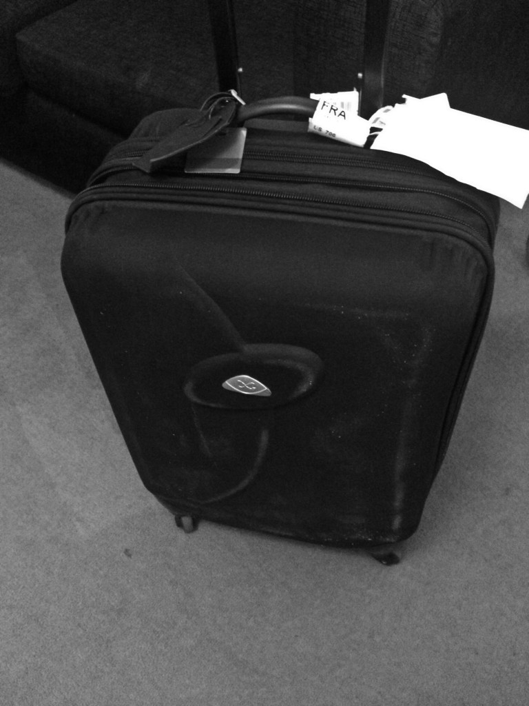 The Traveling Luggage