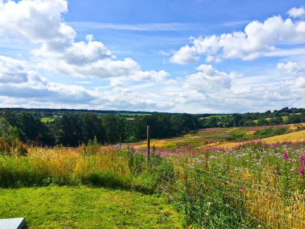 open fields 